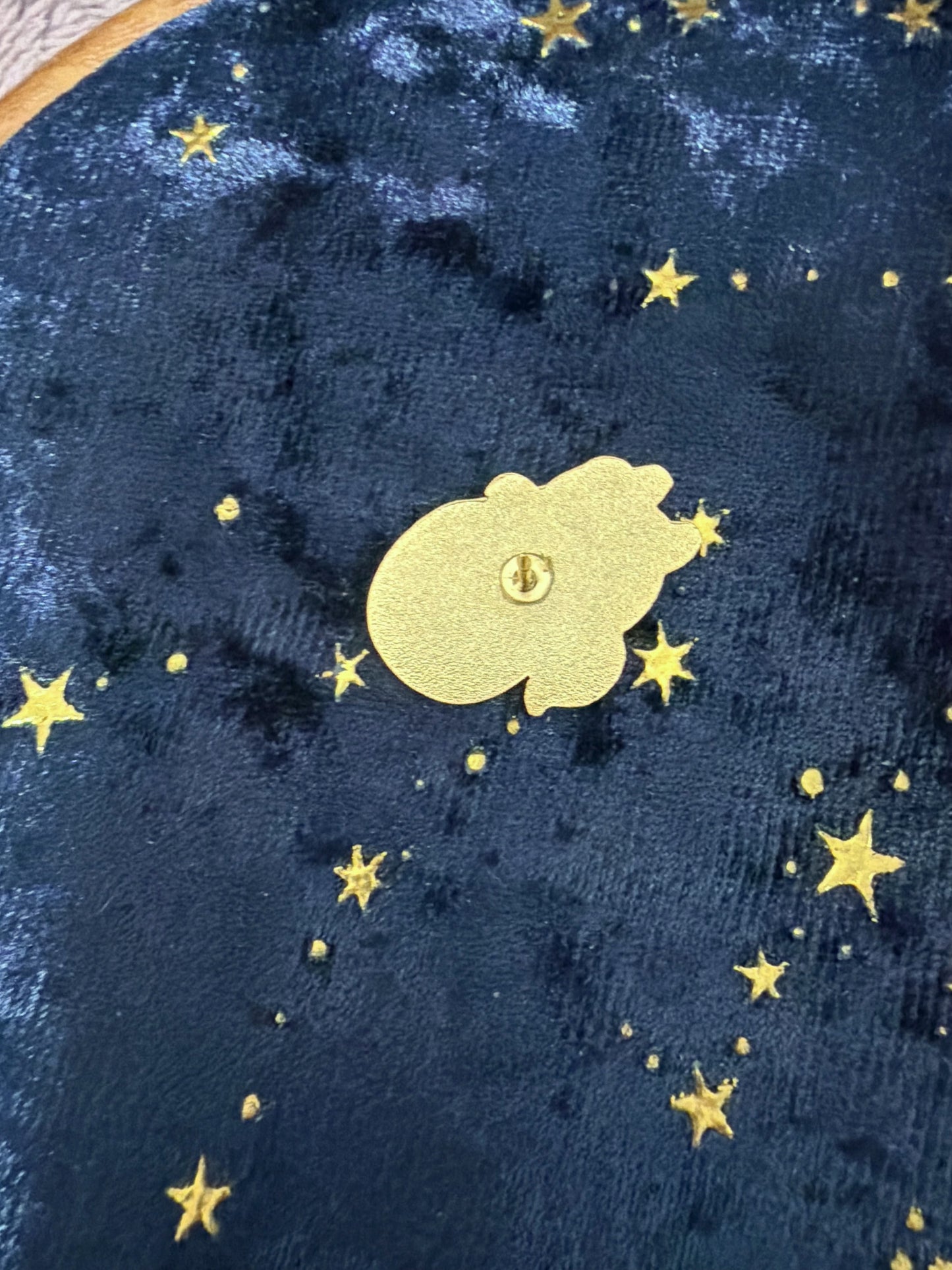 Pokemon hard enamel Pin – Anime Hard Enamel Pokémon Pin