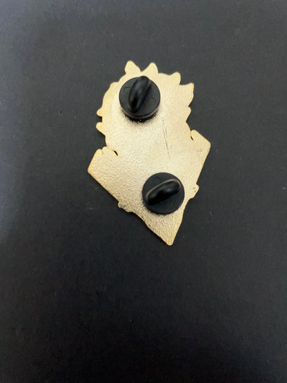 overwatch pin