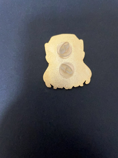 overwatch pin