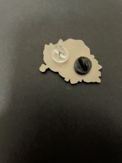 overwatch pin
