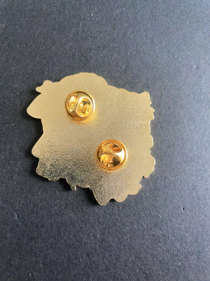 overwatch pin