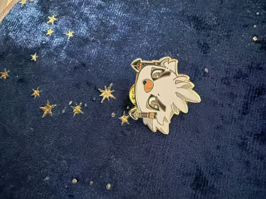 The Legend of Zelda(Rito) pins